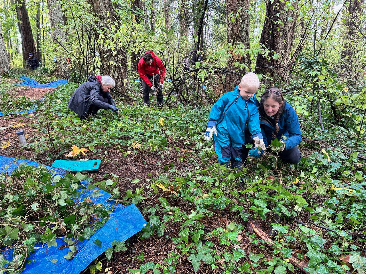 Victoria airport teams up with volunteers to remove invasive plants – Vancouver Island Free Daily
