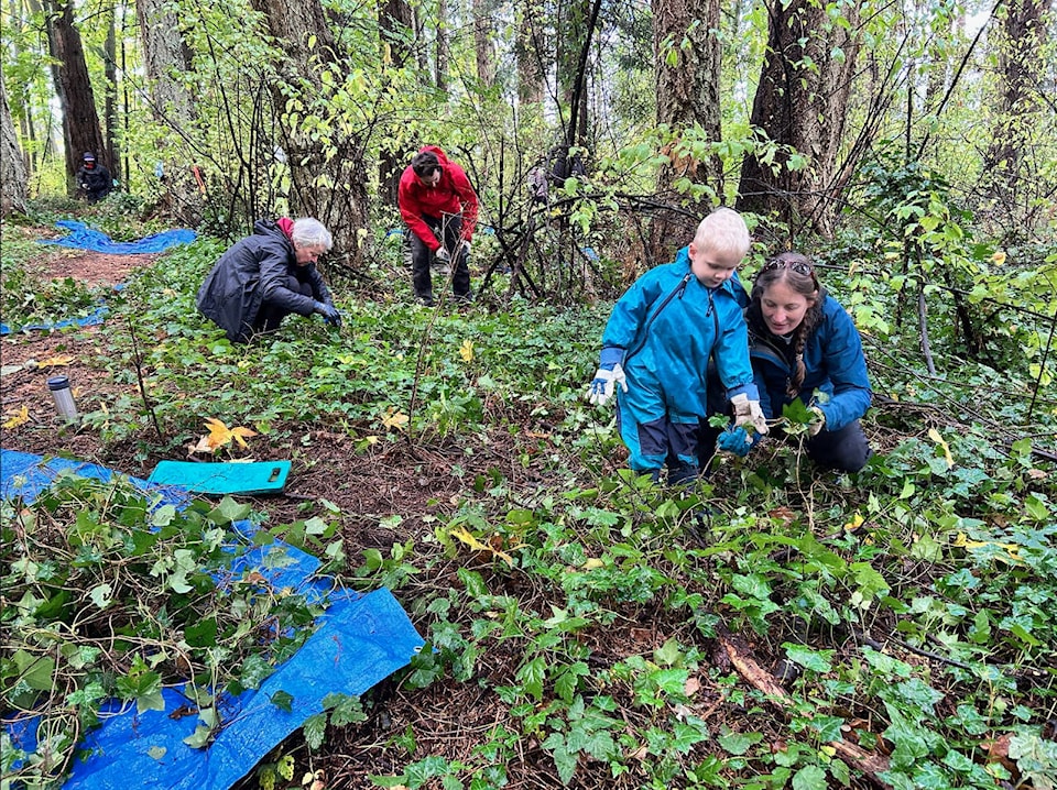 Victoria airport teams up with volunteers to remove invasive plants – Vancouver Island Free Daily