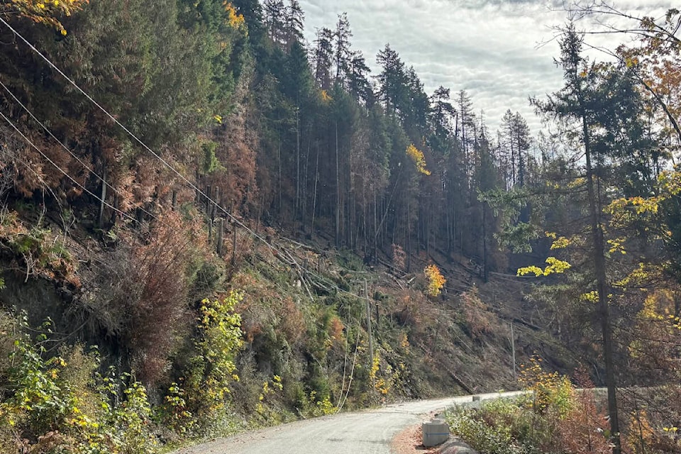Bamfield Road reopens after two months of closures due to wildfire