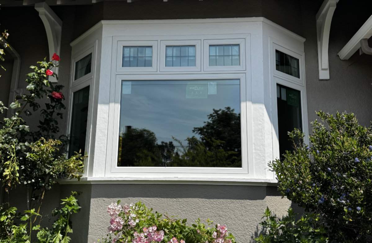 Window replacement in Greater Victoria: What every homeowner should know