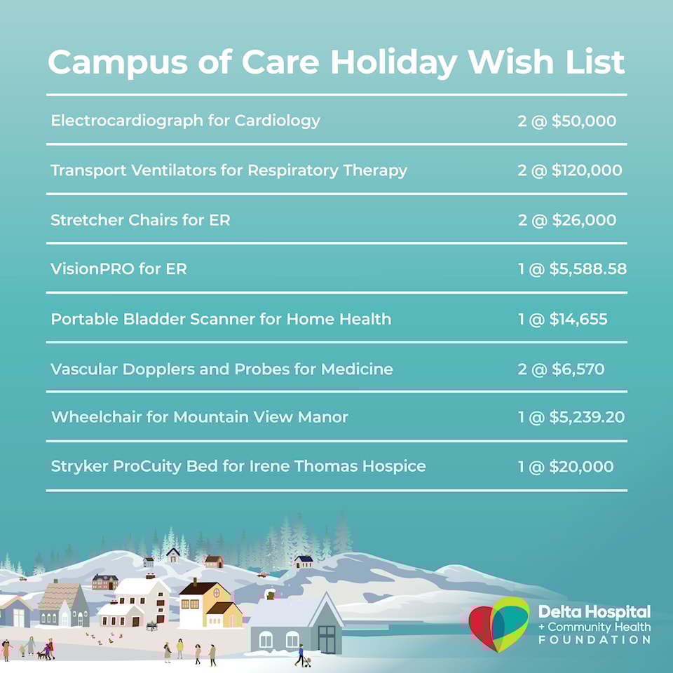 nv18-deltahopistal-holidaywishlist-list