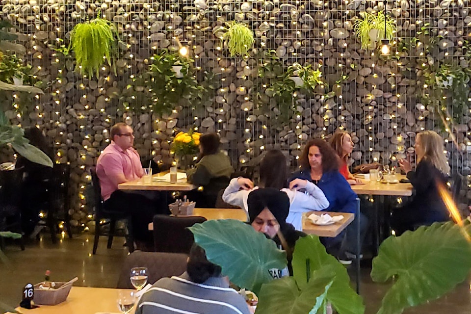 no-24-cafe-feature-image
