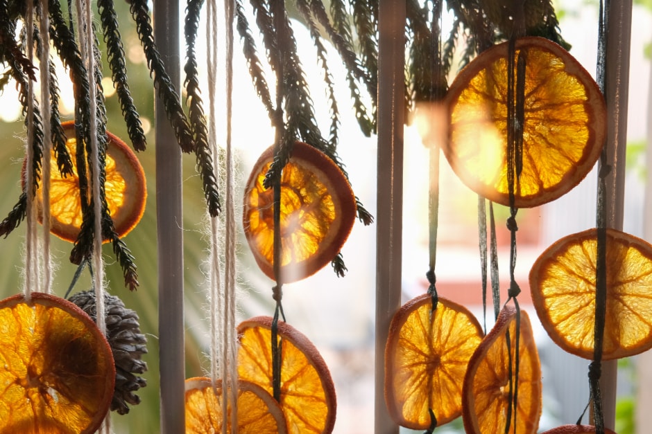 2024-mmnw-dried-orange-photo
