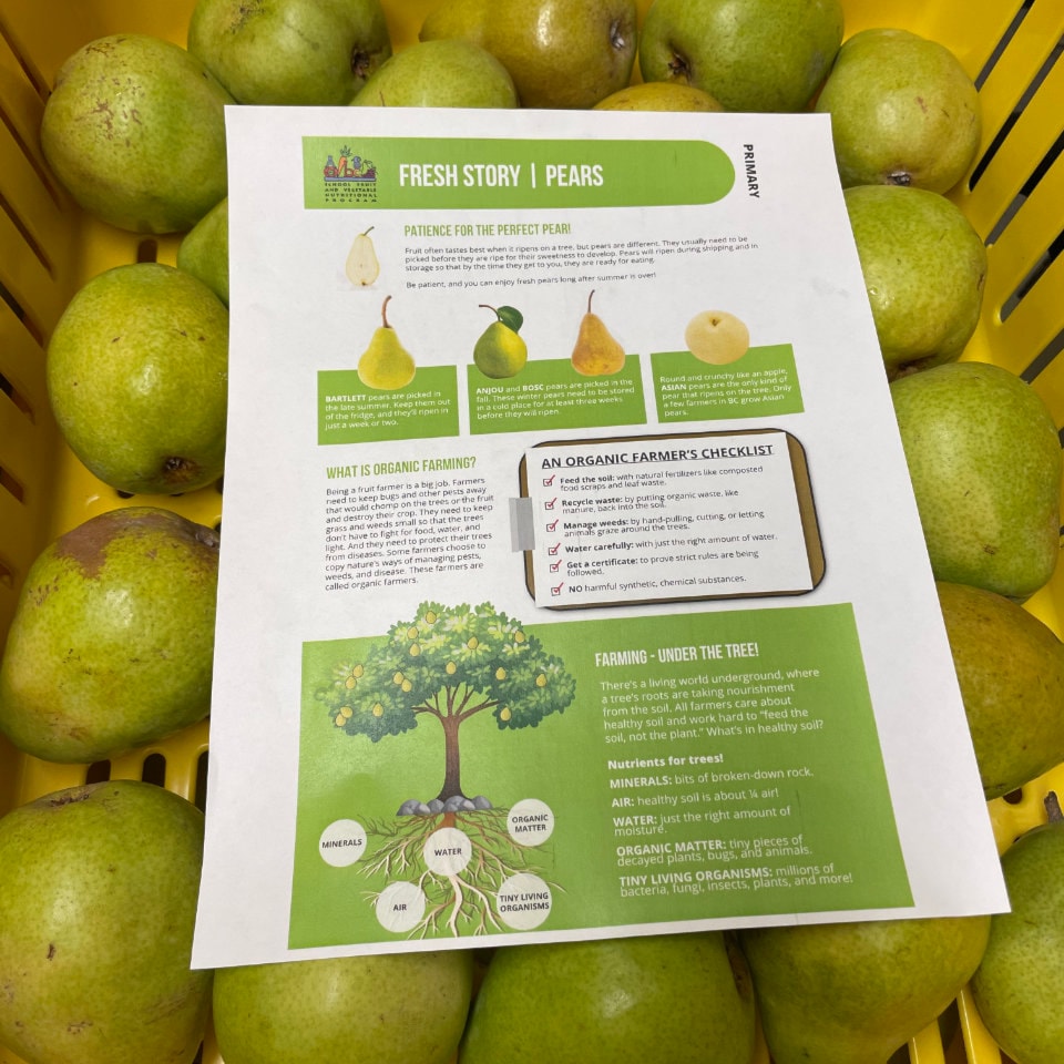 pears-fresh4kids