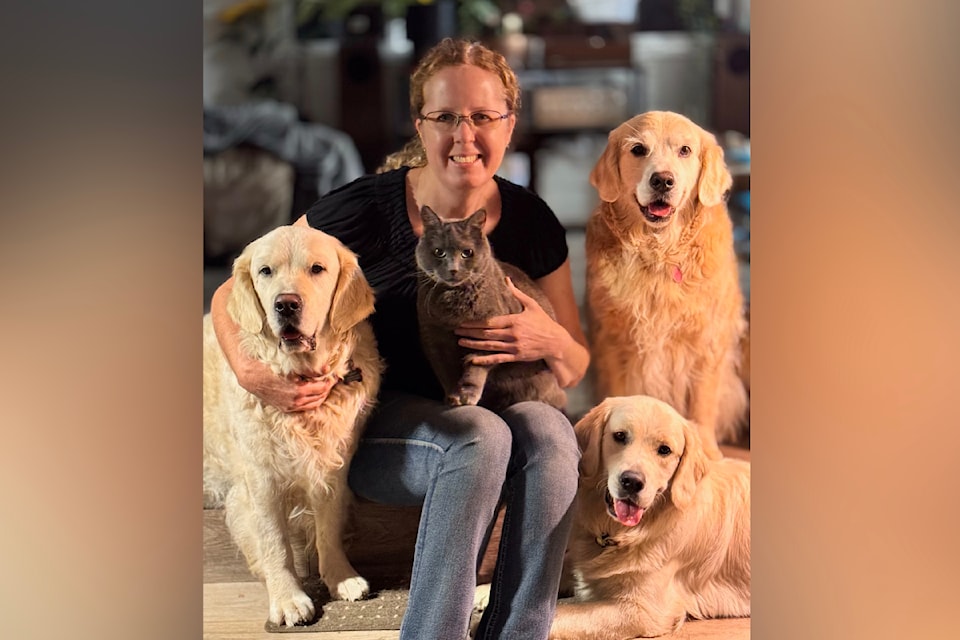 westshore-pet-clinic-feature-image