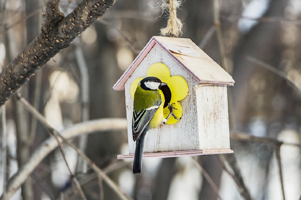 march3-adobestock_251187290