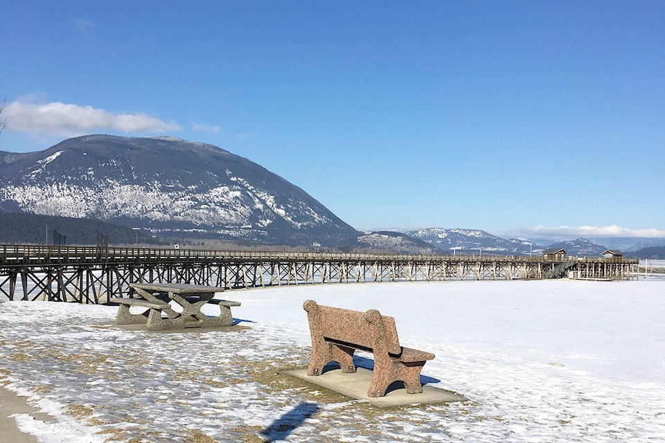 15551550_web1_190220-SAA-Salmon-Arm-wharf