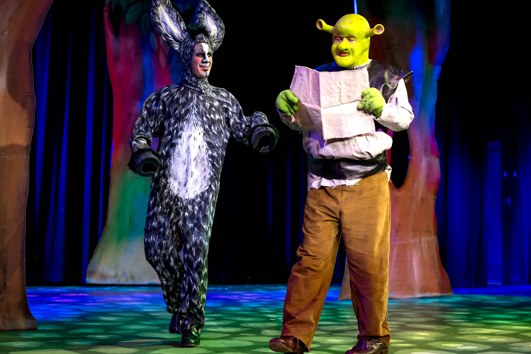 20120893_web1_copy_200115-VMS-shrek1