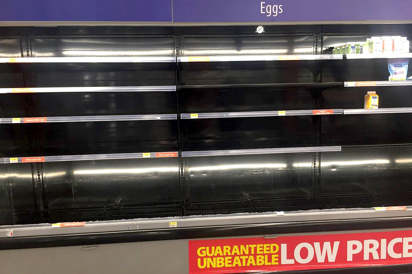 Panic shoppers clearing North Okanagan grocery shelves
