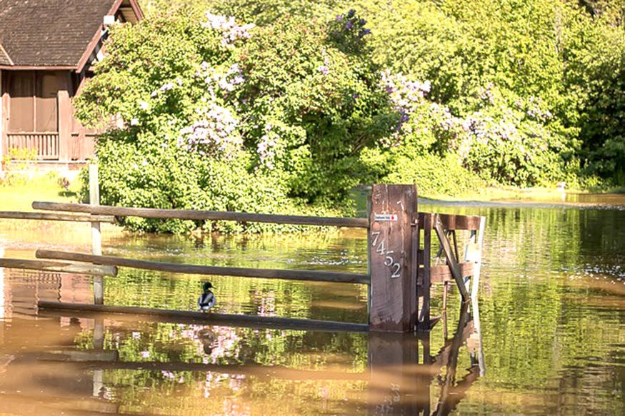 21601850_web1_200521-VMS-fintry-flooded_1