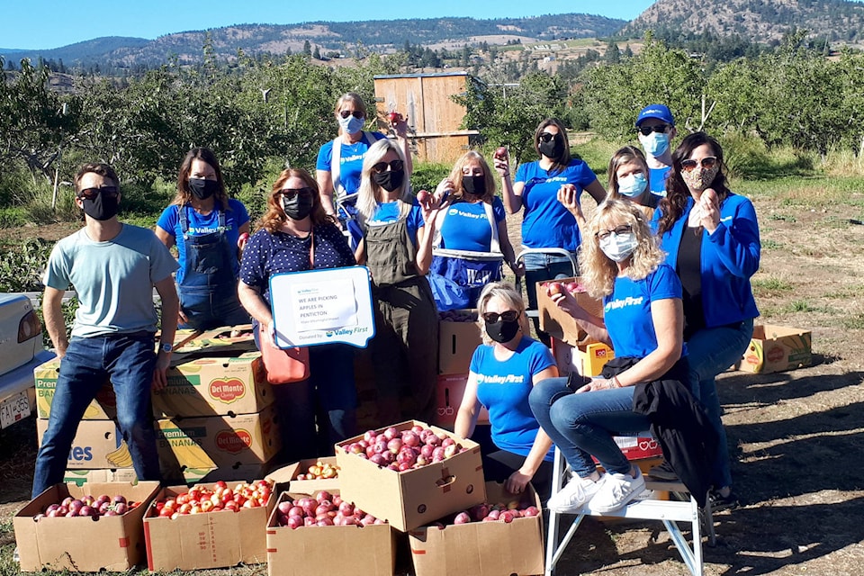 Valley First employees spent Sept. 27 picking 1,500 pounds of apples from a Summerland orchard. They boxed up the apples and brought them to schools in Penticton and Kaleden as part of the Okanagan Tree Fruit Project. (Contributed)