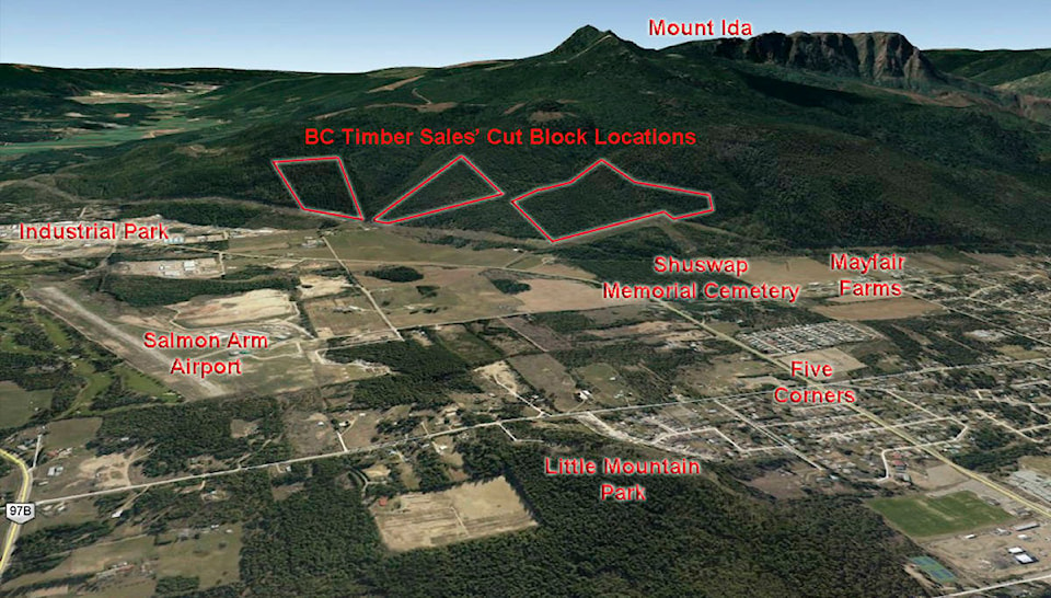 25143001_web1_210512-SAA-Mt-Ida-logging-Inselberg