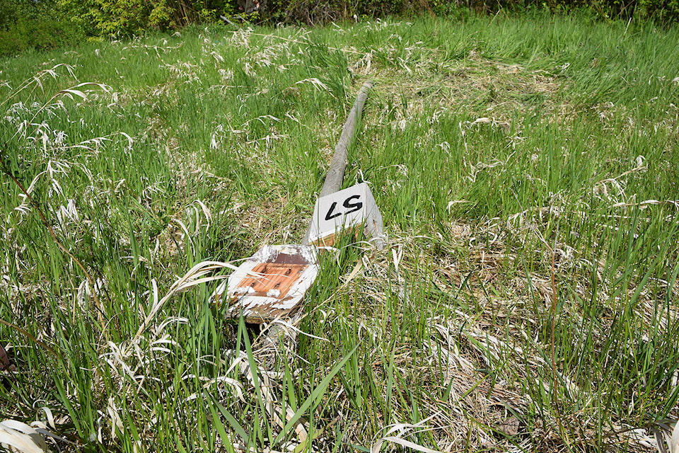 This bird box at the Salmon Arm Foreshore lies broken on May 14, 2021 after someone pulled the pole out of the ground and smashed the formerly occupied nest. It was one of more than 30 that have been wrecked. (Martha Wickett-Salmon Arm Observer)