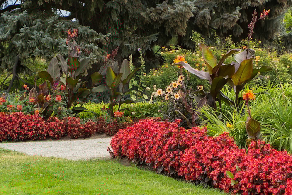 26419735_web1_210916-SUM-Plant-sale-SUMMERLAND_1
