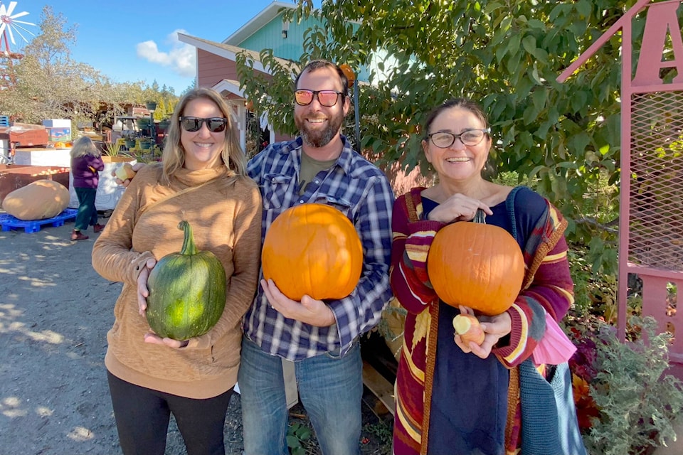 26783653_web1_211014-SUM-Pumpkins-SUMMERLAND_1