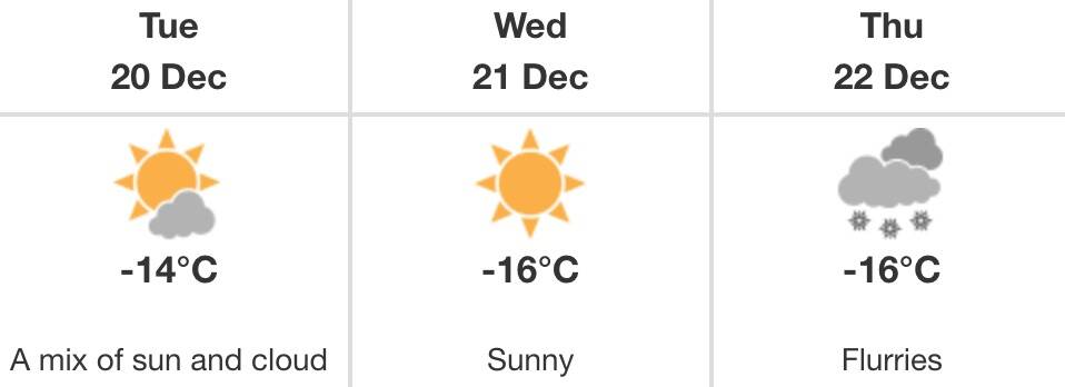 salmon arm