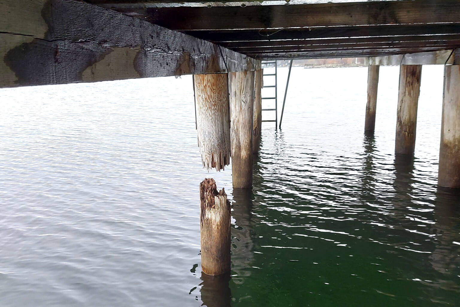 This shows one of the broken piles of the Summerland Kiwanis Pier at Rotary Beach. (Brad Bessler photo)
