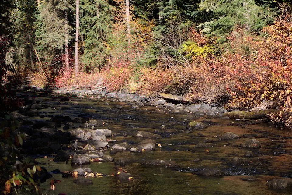 33991158_web1_221027-OMH-Creek-Standalone_1