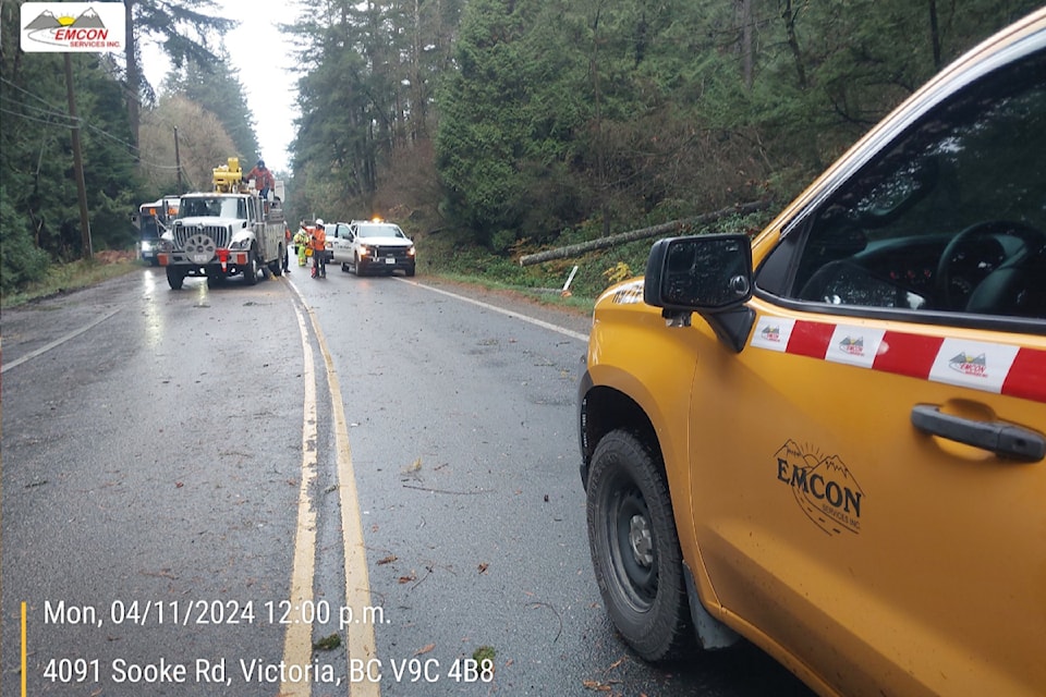 A tree closes Highway 14 the morning of Nov. 4. 