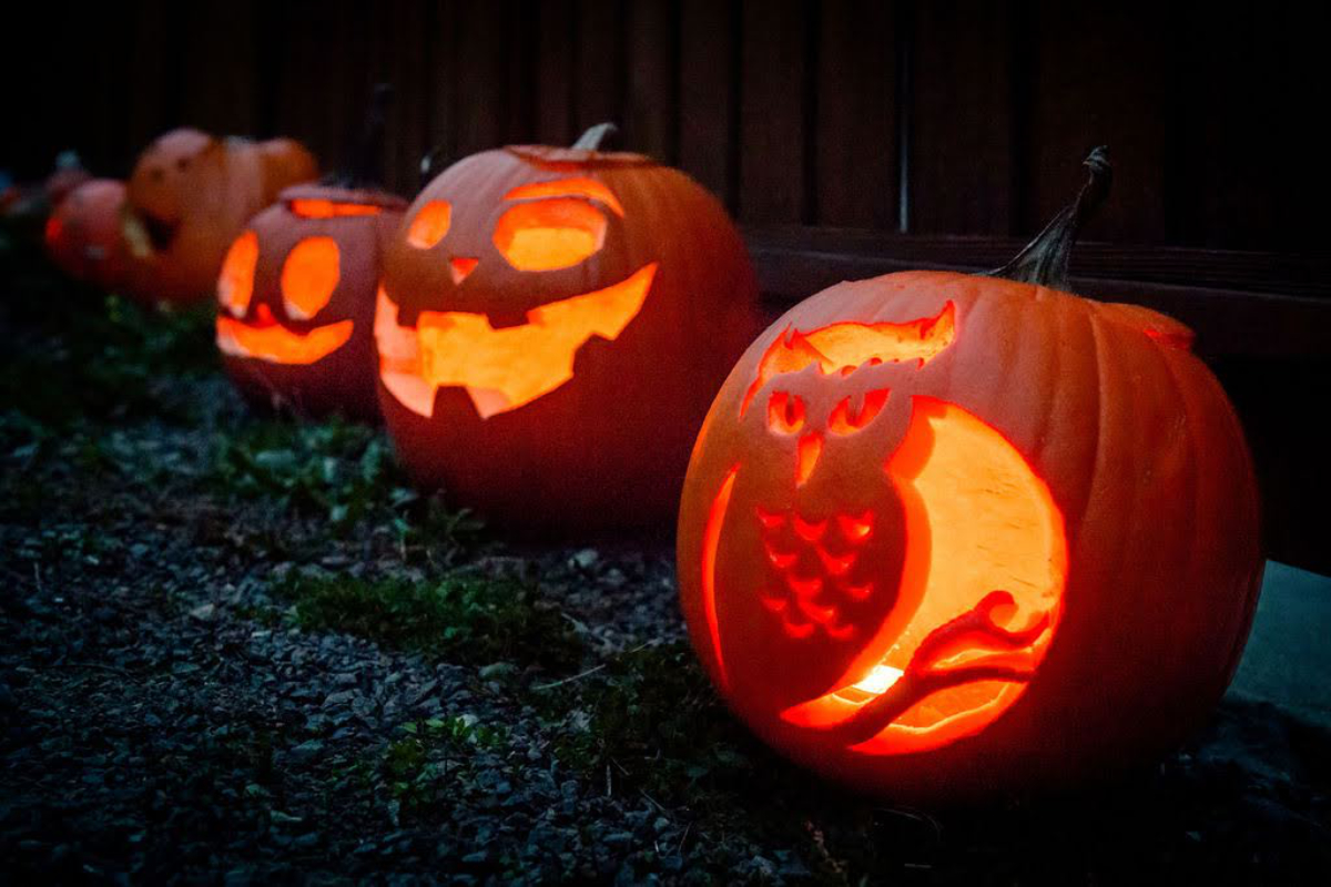 Sooke Halloween costume swap event promotes sustainability