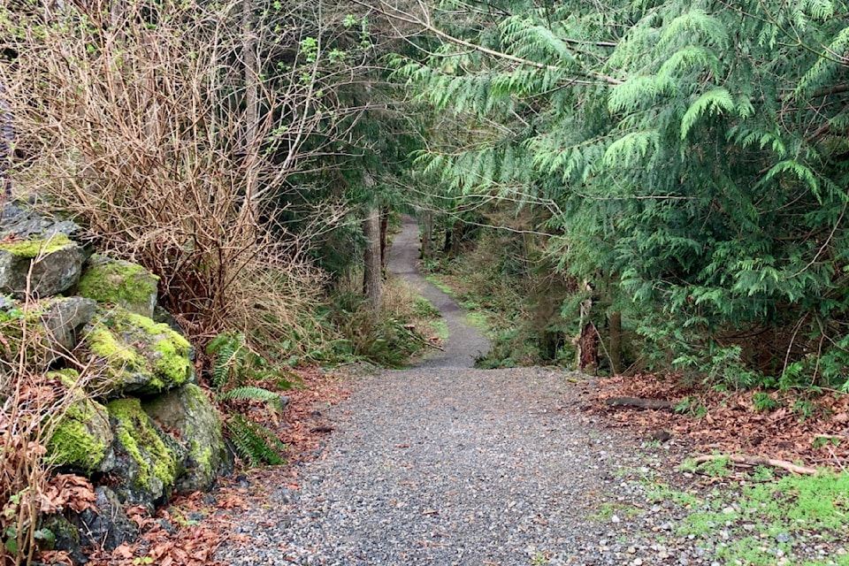 sooke-trail