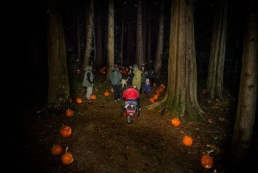 The Friends of Sooke Parks Society is hosting a Spooky Pumpkin Walk on Friday, Nov. 1 at Pineridge Park. (Deborah Price Photography)