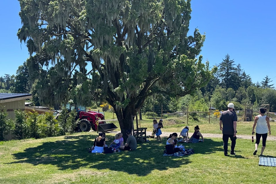 sooke-shade
