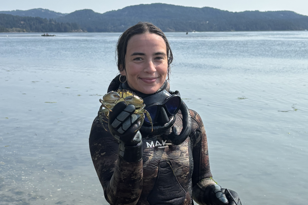 B.C. freedivers join battle against European green crab invasion