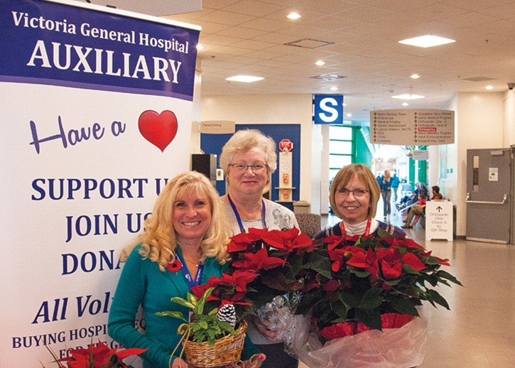 29342goldstreamGNG-PoinsettiasForPatients-KE