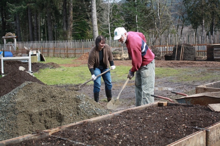 60659sookeallotmentgarden3