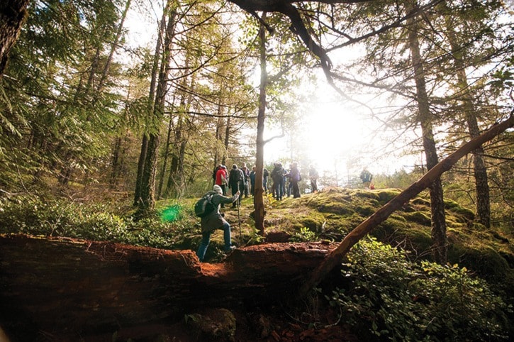 Visitors from all over Vancouver Island on a scheduled CRD hiking tour through the Sooke Potholes Park. (Black Press Media file photo)