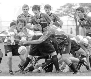 83427NewS.32.20110201124743.Sports_Rugby_20110202