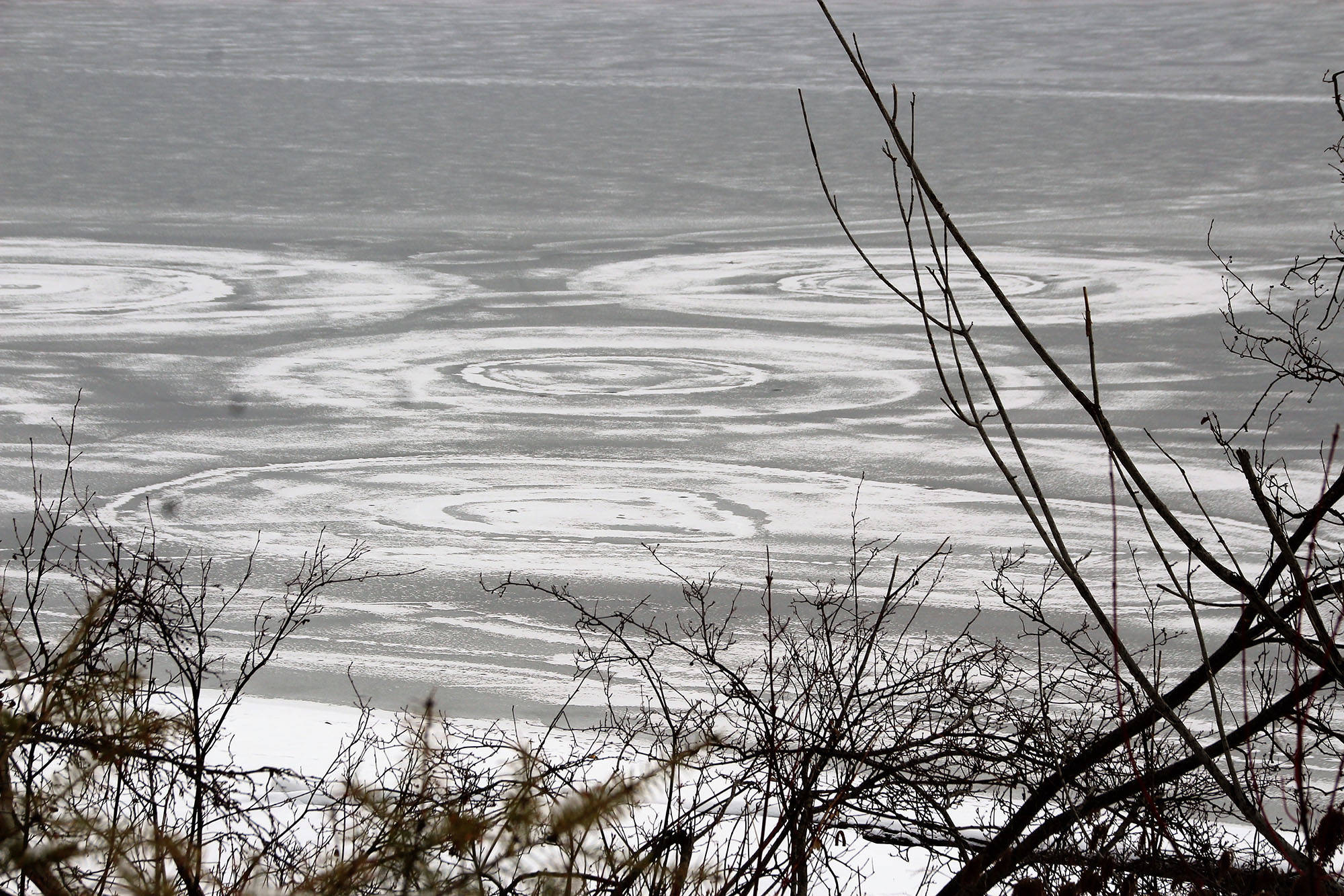 11009767_web1_180307-SAA-Crop-circle-on-lake1