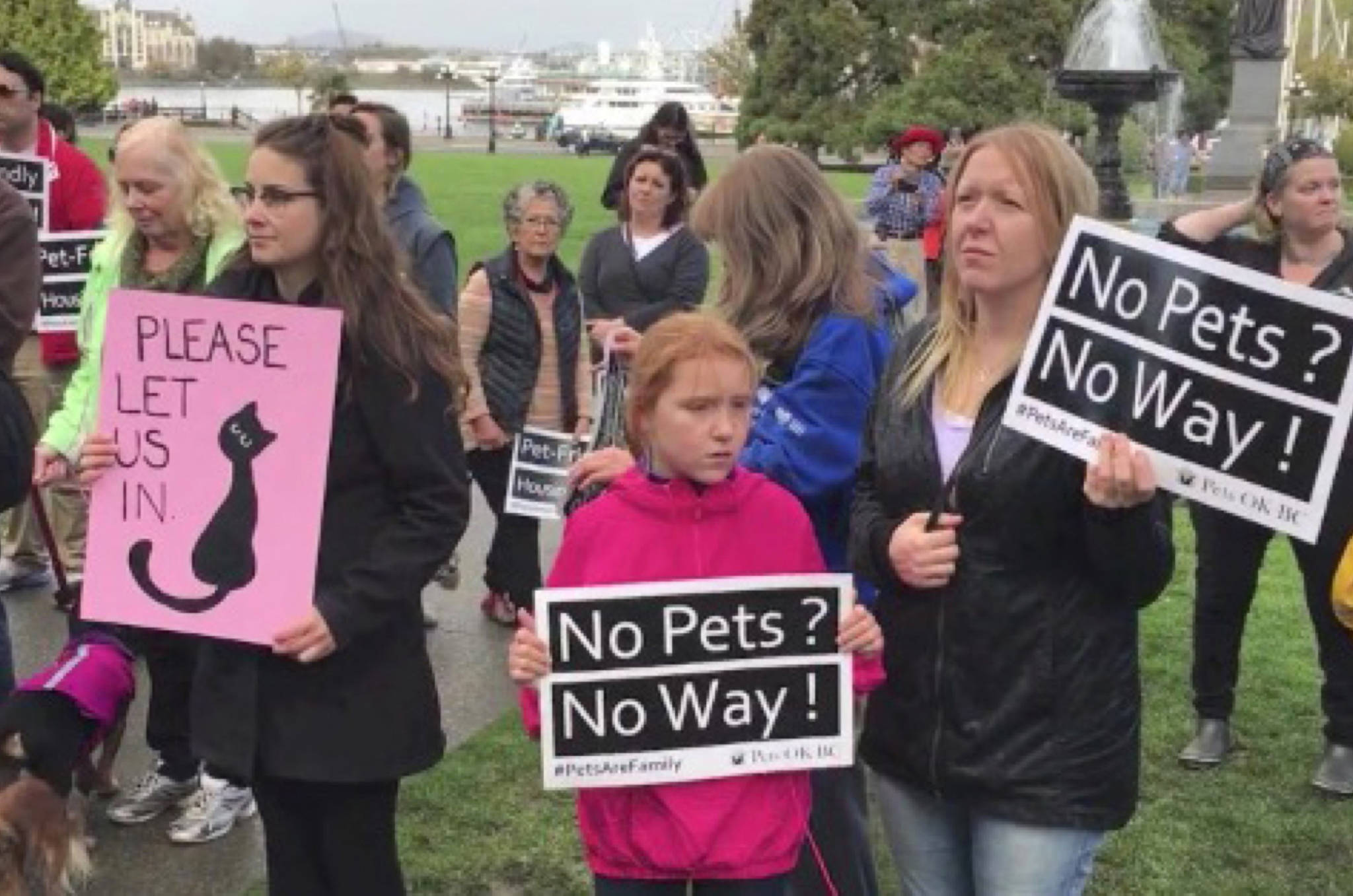 Most people in B.C. say landlords should be able to reject tenants with pets: poll