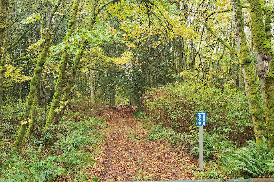 13848416_web1_181010-SNM-Land-use