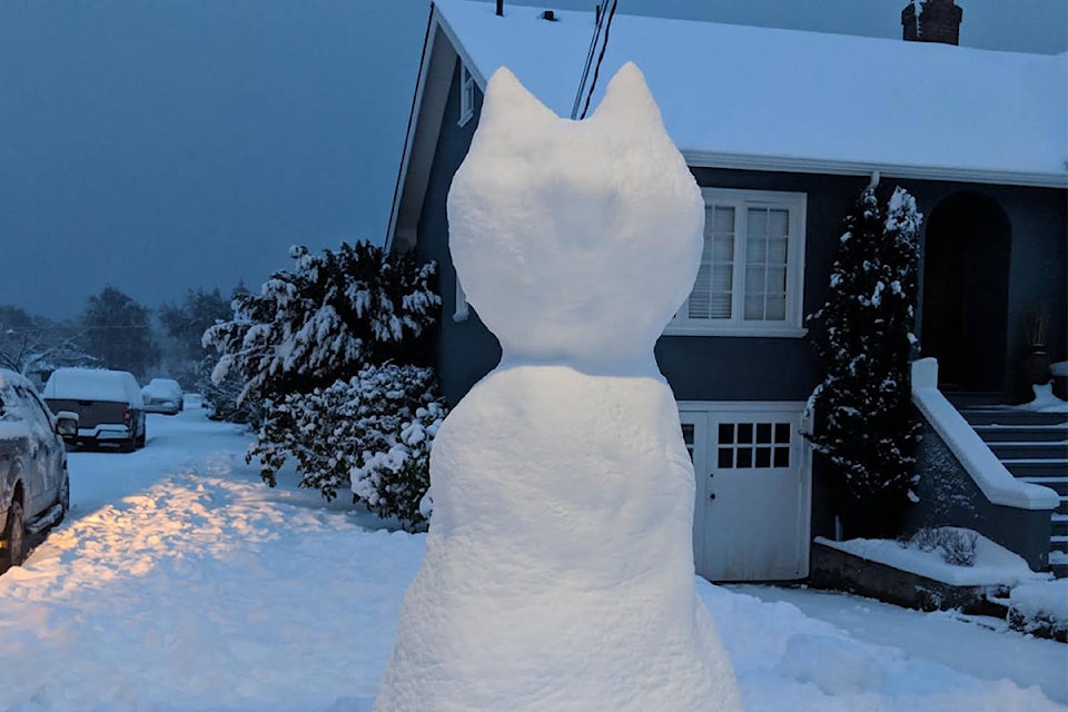 15528976_web1_190212-OBN-SnowCat_1