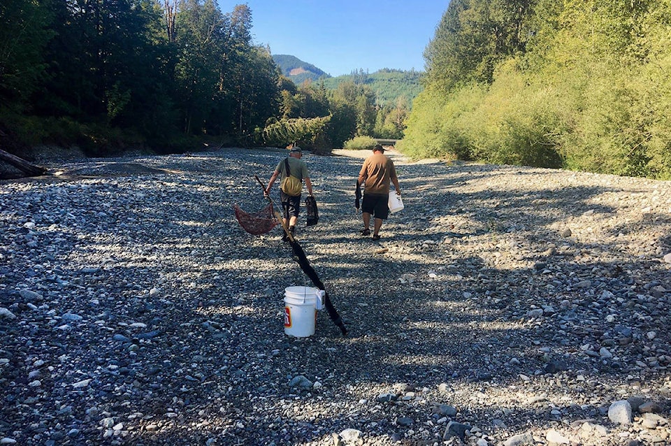 15873792_web1_dry-creekbed-at-Cowichan-Lake