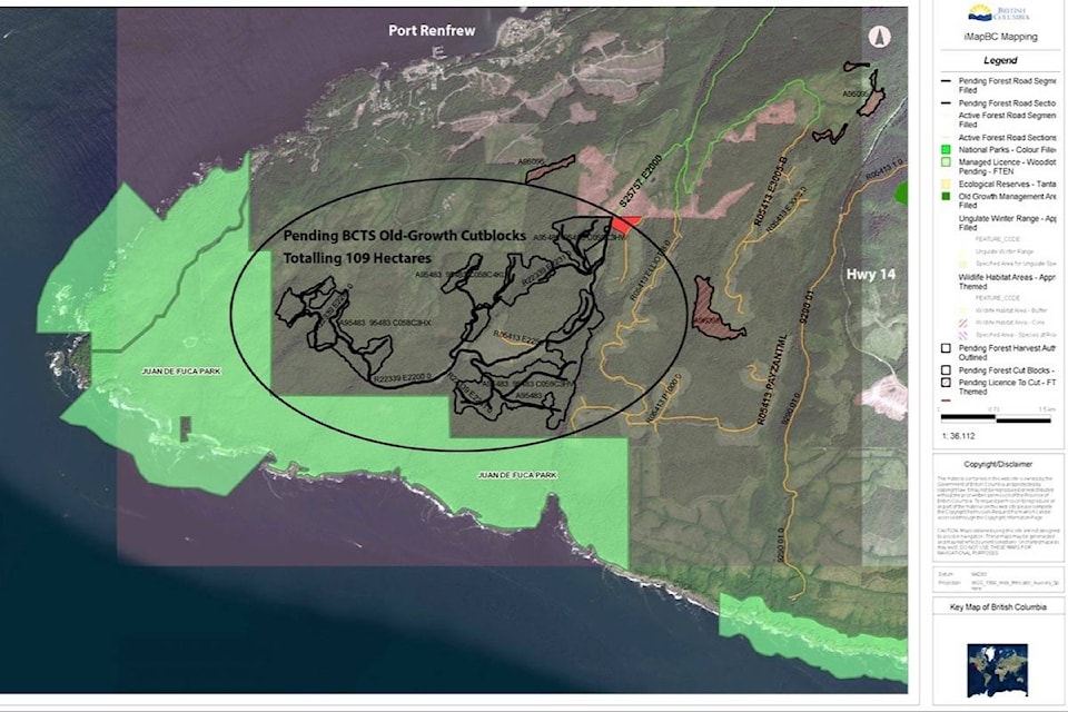 16468557_web1_190418-SNM-M-7-BCTS-Pending-Cutblocks-Port-Renfrew-Map