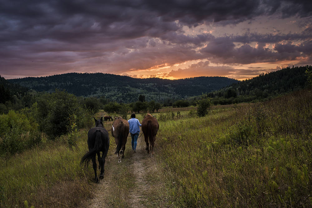 The quintessential guest ranch experience awaits in the Cariboo and Chilcotin. Blake Jorgenson photo.