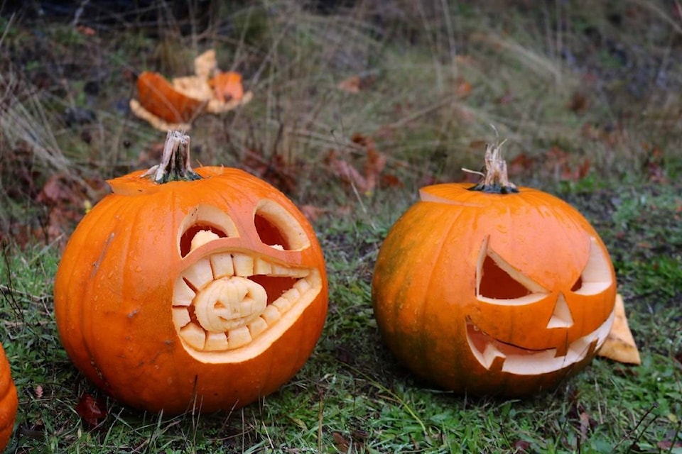 Dozens of pumpkins have found a new home along Veterans Memorial Parkway in Colwood. (Aaron Guillen/News Staff)