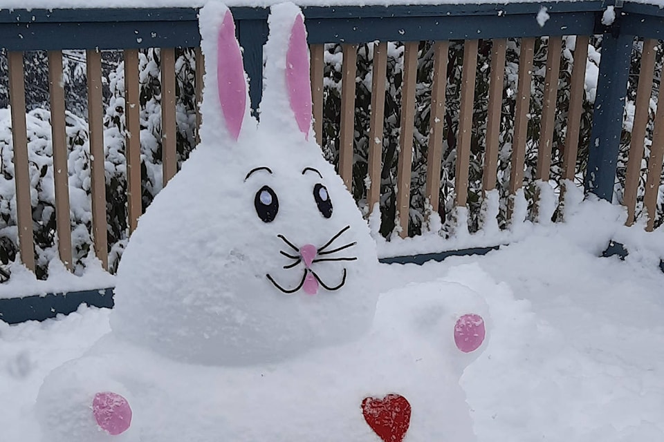 Patti Haney, who lives in Thetis Heights, Sunday made this snow bunny in honour of Valentine’s Day for her granddaughter Caelin, who lives on B.C.’s Mainland. (Photo Courtesy of Patti Haney)