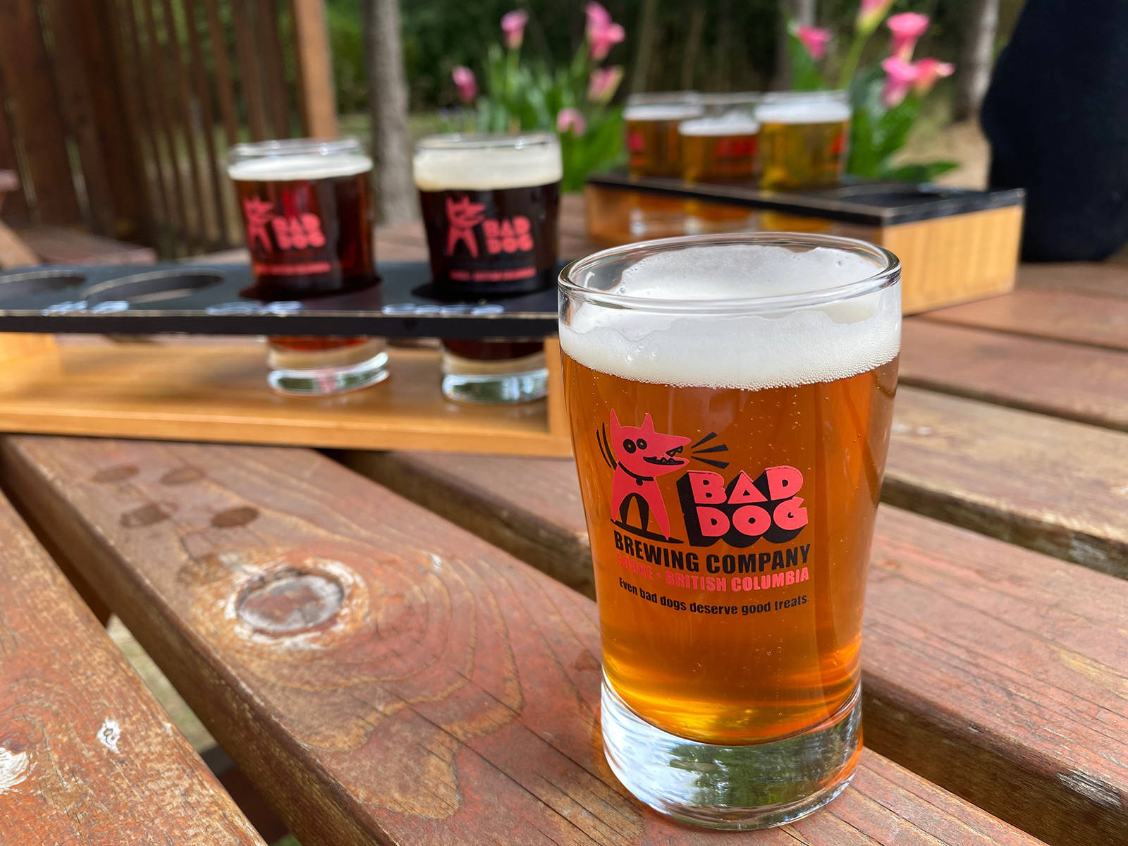 Another favourite with locals – and well-behaved dogs – Bad Dog currently has 12 beers on tap for tasting or take-away. Pull up a seat in the treed picnic area to sample a selection. Jennifer Blyth photo.