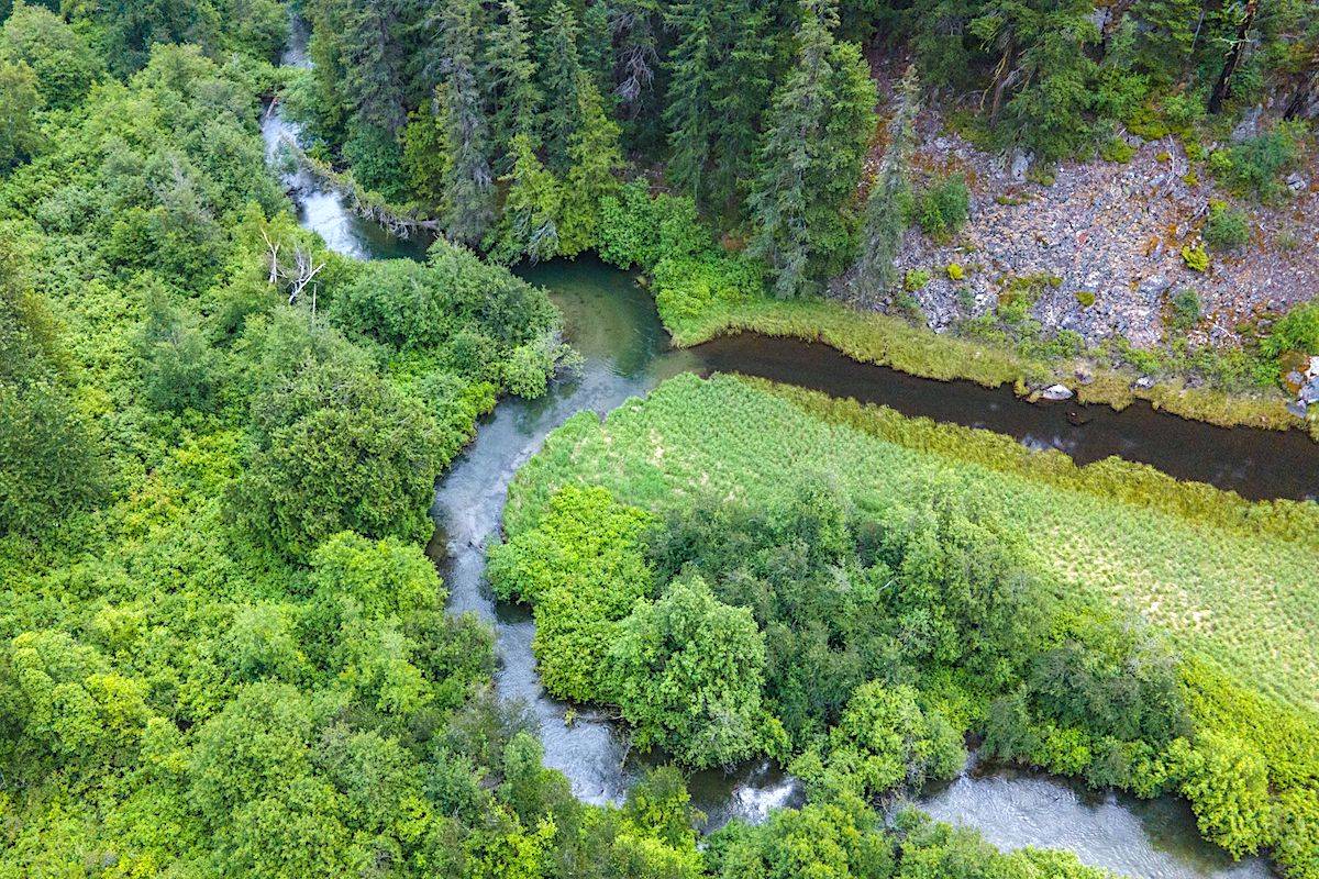 The now-protected land contains freshwater resources with river-critical wildlife habitat. (Nature Conservancy)