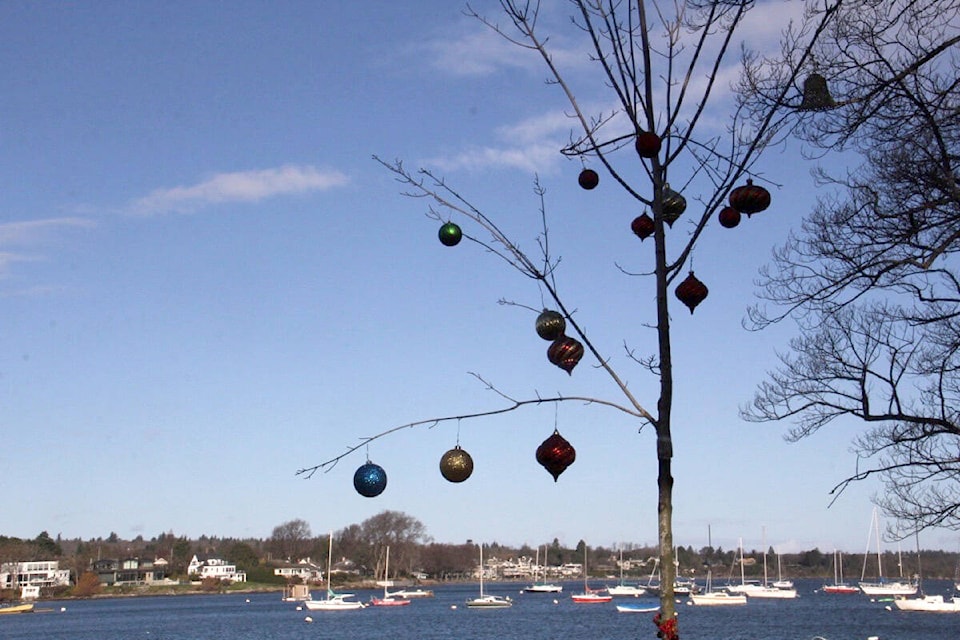 A small tree in Queens’ Park, Oak Bay, is festooned with Christmas ornaments, village and cheerful painted rocks. (Christine van Reeuwyk/News Staff)