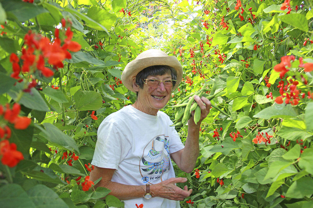 Plucking beans off the trellis, Kathy English exclaims at the size of one and jokes its as big as a roast beef. She comes to volunteer two to three times a week and says shes learned lots about gardening. You learn to appreciate how difficult farming is, she says. Overall, she says, its just a beautiful place to be. Plus you get the added benefit of helping people with their food. (Jane Skrypnek/News Staff)