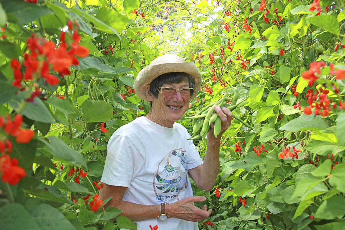 Plucking beans off the trellis, Kathy English exclaims at the size of one and jokes its as big as a roast beef. She comes to volunteer two to three times a week and says shes learned lots about gardening. You learn to appreciate how difficult farming is, she says. Overall, she says, its just a beautiful place to be. Plus you get the added benefit of helping people with their food. (Jane Skrypnek/News Staff)