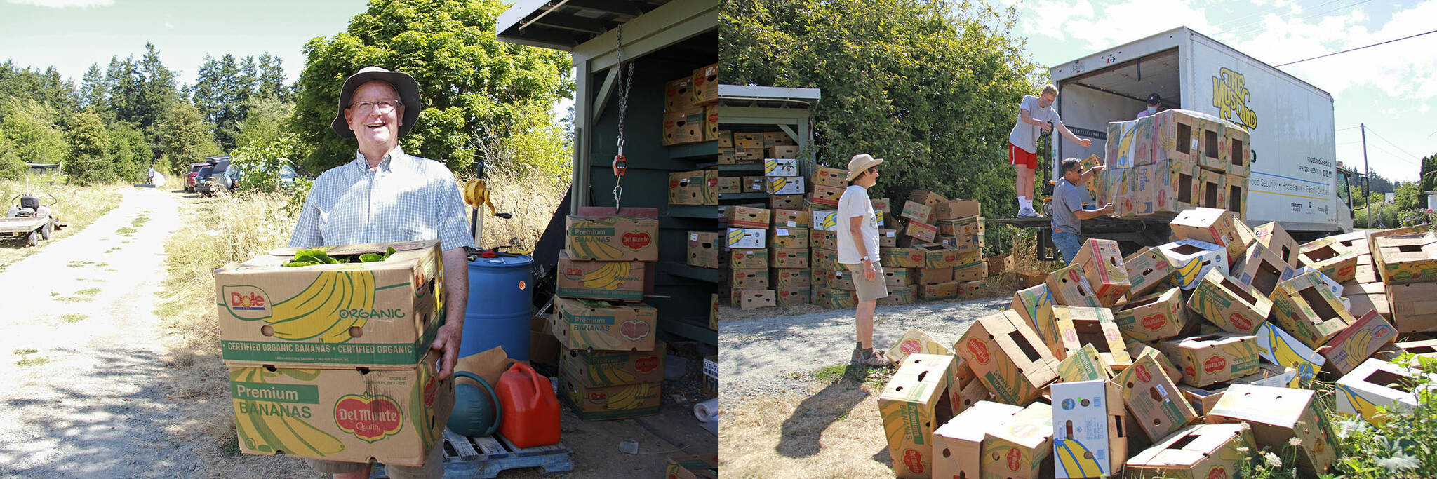 When the Mustard Seed arrives around 11 a.m. July 21, workers drop off 150 empty banana boxes and Jason Austin (left) and his volunteers load up 40 boxes full of romaine lettuce in exchange. The empty ones will quickly be filled with beans, swiss chard, zucchinis, bok choy, and the such, to be distributed to other organizations. (Jane Skrypnek/News Staff)
