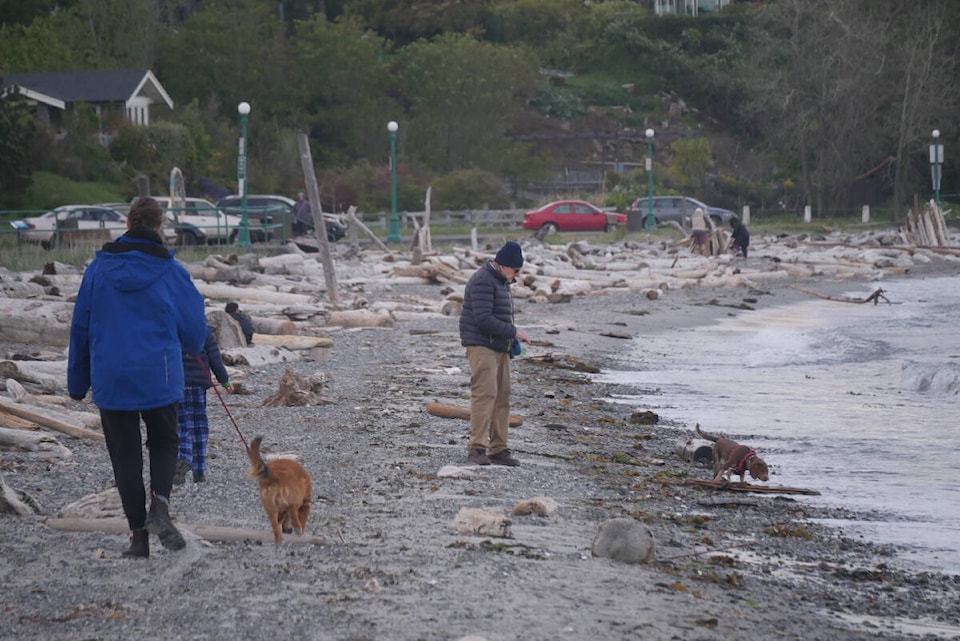 29097950_web1_220511-VNE-Beach-Dogs-Photos_1