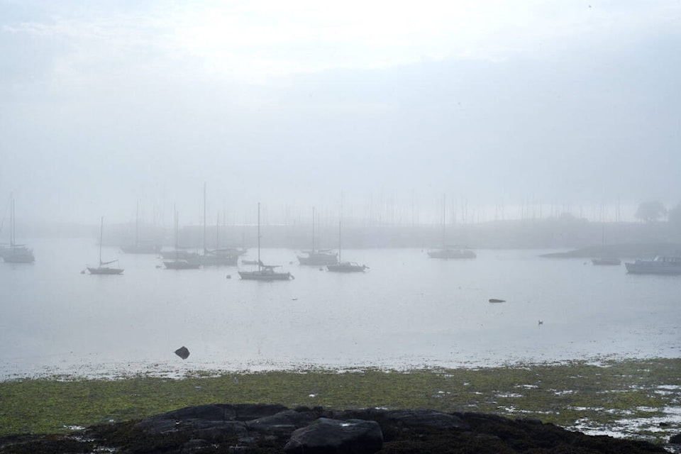 Early morning sea fog rolls in over boats moored in Oak Bay at low tide. (Don Denton/Black Press Media)