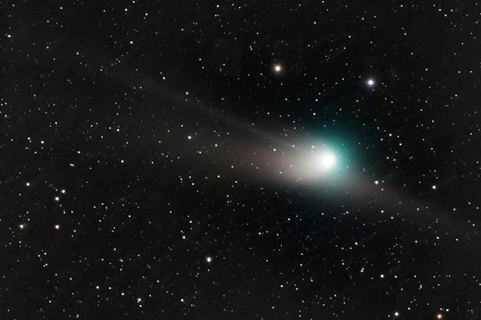 Victoria star photographer Lucky Budd captured the C/2020 E3 (ZTF) comet on camera during a brief break in cloudy skies on Jan. 21. (Photo by Lucky Budd)